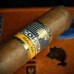 Cohiba Siglo VI (Siglo 6) 25’li kutu - Görsel 2