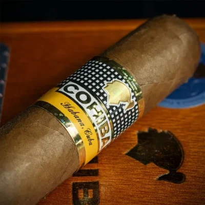 Cohiba Siglo VI (Siglo 6) 25’li kutu