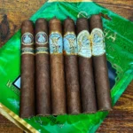 Gurkha Boutigue Toro Sampler Nicaragua 6'lı Yeşil - Görsel 2
